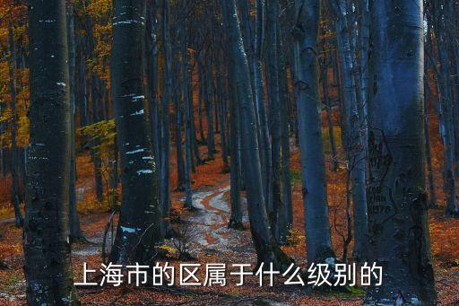 上海市的區屬于什么級別的