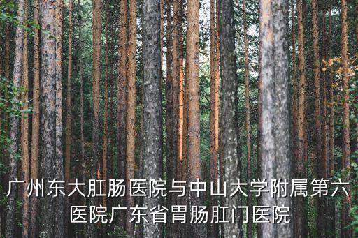 廣州東大肛腸醫院與中山大學附屬第六醫院廣東省胃腸肛門醫院