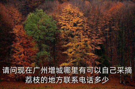 廣州增城國源農莊，請問現在廣州增城哪里有可以自己采摘荔枝的地方聯系電話多少