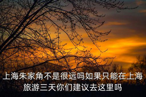 上海朱家角不是很遠嗎如果只能在上海旅游三天你們建議去這里嗎