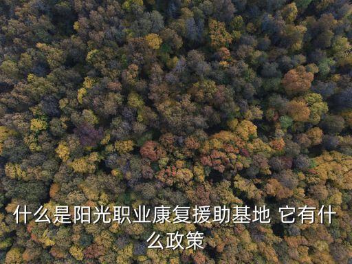 什么是陽光職業(yè)康復(fù)援助基地 它有什么政策