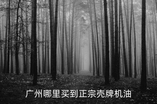 廣州哪里買到正宗殼牌機油