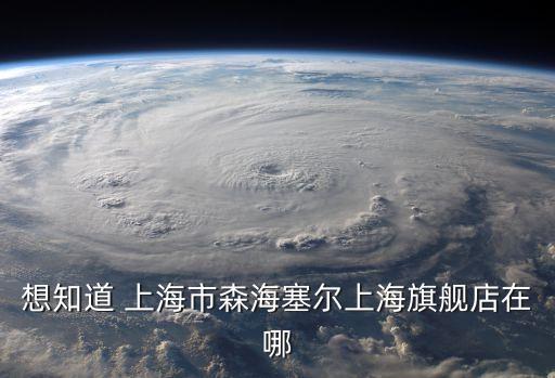 想知道 上海市森海塞爾上海旗艦店在哪