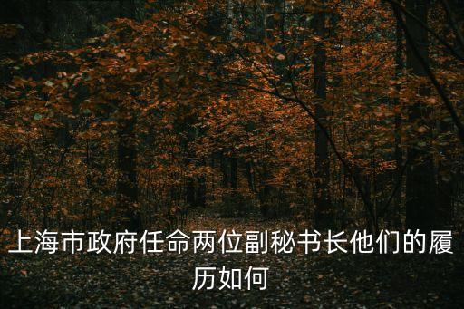 上海市政府任命兩位副秘書長他們的履歷如何