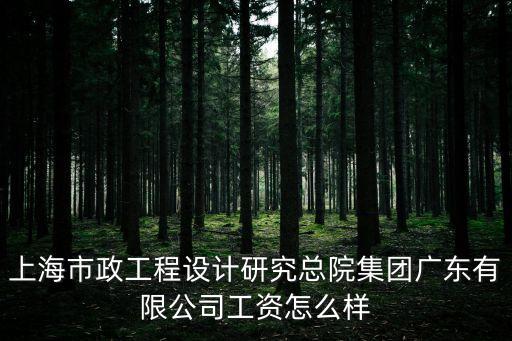 上海市政工程設(shè)計研究院工資待遇，上海市政工程設(shè)計研究總院集團廣東有限公司工資怎么樣