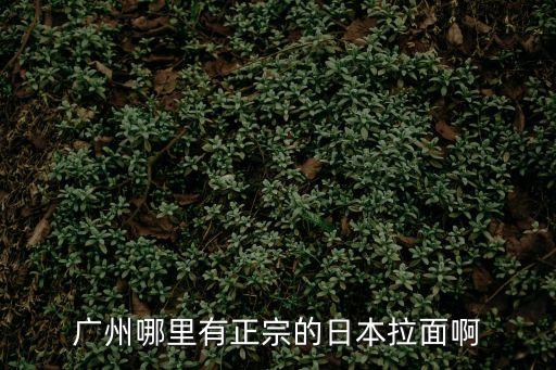 廣州一碗拉面舍，廣州哪里有正宗的日式拉面吃