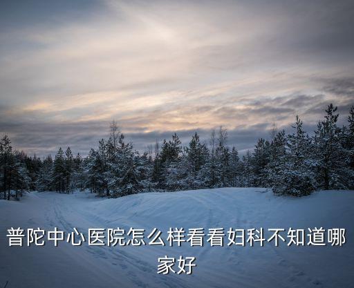 普陀中心醫院怎么樣看看婦科不知道哪家好
