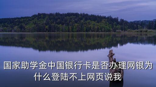 上海市國(guó)家獎(jiǎng)學(xué)金資助系統(tǒng)，李嘉誠(chéng)特別助學(xué)金管理系統(tǒng)助學(xué)金申請(qǐng)表最下邊2009年度是否享受