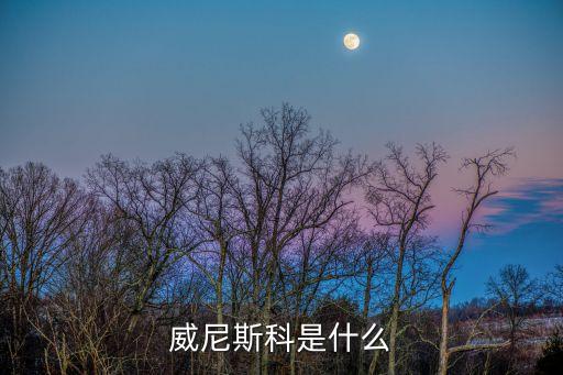 威尼斯科是什么