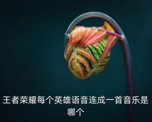 王者榮耀每個(gè)英雄語音連成一首音樂是哪個(gè)