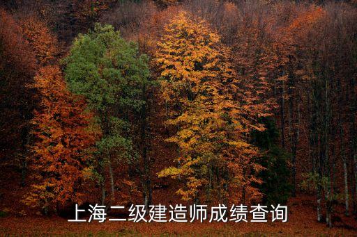上海市2010年二級建造師成績查詢，上海二級建造師成績查詢