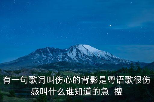 有一句歌詞叫傷心的背影是粵語歌很傷感叫什么誰知道的急  搜