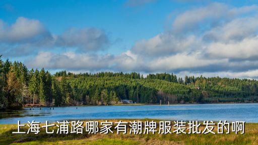 上海市潮牌服飾公司地址，上海七浦路哪家有潮牌服裝批發(fā)的啊