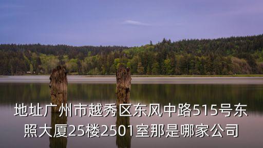 地址廣州市越秀區(qū)東風(fēng)中路515號東照大廈25樓2501室那是哪家公司