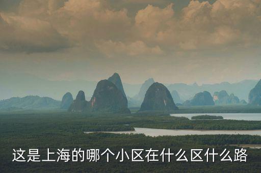 這是上海的哪個小區在什么區什么路