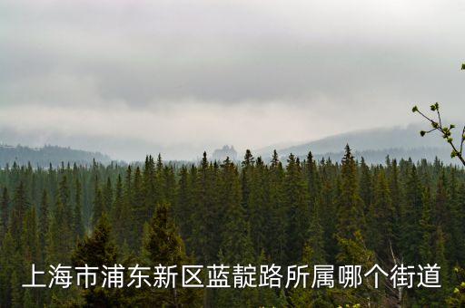 上海市浦東新區藍靛路所屬哪個街道