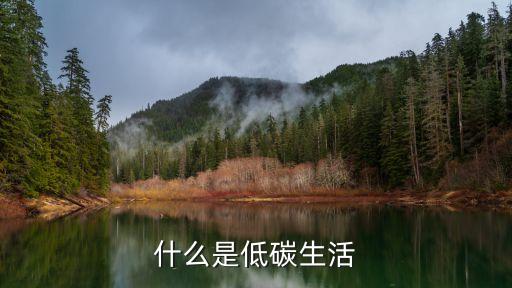 低碳生活，什么是低碳生活