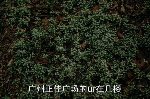 廣州正佳廣場的ur在幾樓