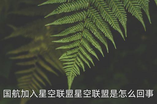 國航加入星空聯盟星空聯盟是怎么回事