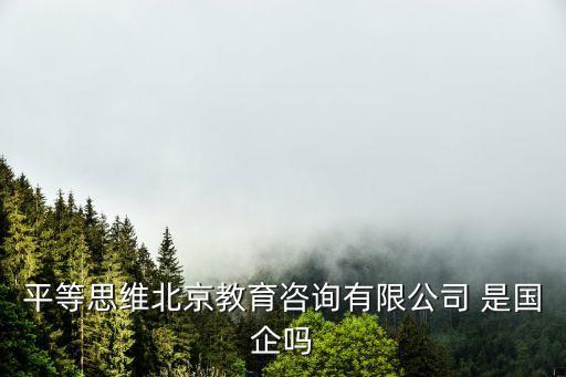 平等思維北京教育咨詢有限公司 是國企嗎