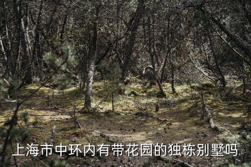 上海市市區獨棟別墅，上海市中環內有帶花園的獨棟別墅嗎