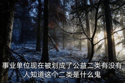 事業單位現在被劃成了公益二類有沒有人知道這個二類是什么鬼