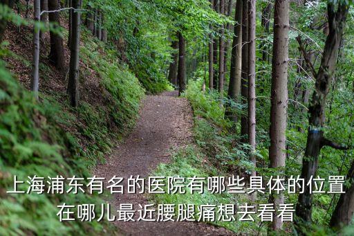 上海市浦東新區上鋼醫院黃凱醫生，上海浦東新區的醫院