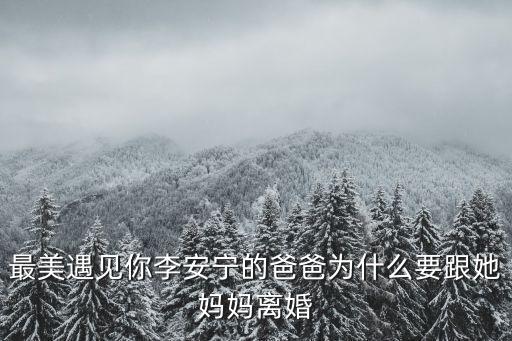 最美遇見你李安寧的爸爸為什么要跟她媽媽離婚