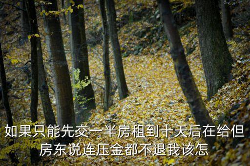 如果只能先交一半房租到十天后在給但房東說連壓金都不退我該怎