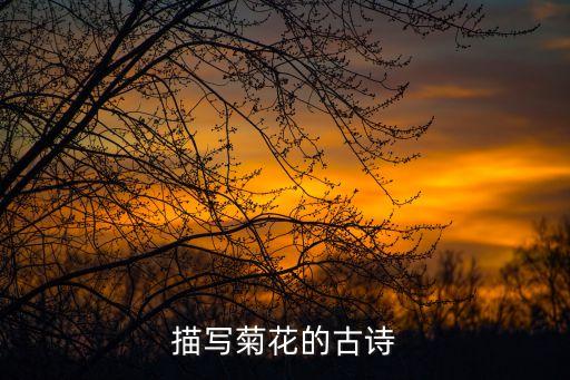 菊花的詩詞，描寫菊花的古詩
