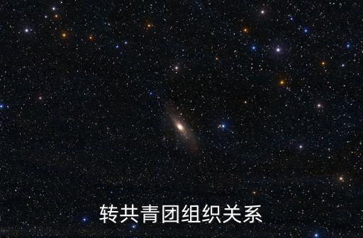 上海市團委成員鄔斌，上海市現任團委書記是誰