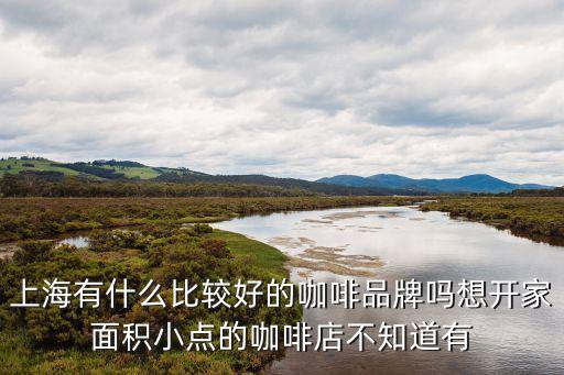 上海有什么比較好的咖啡品牌嗎想開家面積小點的咖啡店不知道有