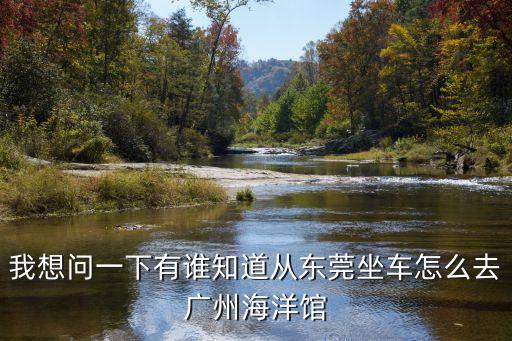 我想問一下有誰知道從東莞坐車怎么去廣州海洋館
