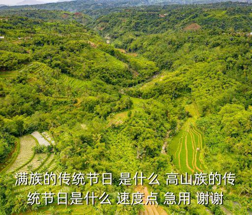 滿族的傳統(tǒng)節(jié)日 是什么 高山族的傳統(tǒng)節(jié)日是什么 速度點(diǎn) 急用 謝謝