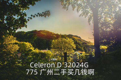 廣州二手伊思坦納報價，Celeron D 32024G 775 廣州二手買幾錢啊