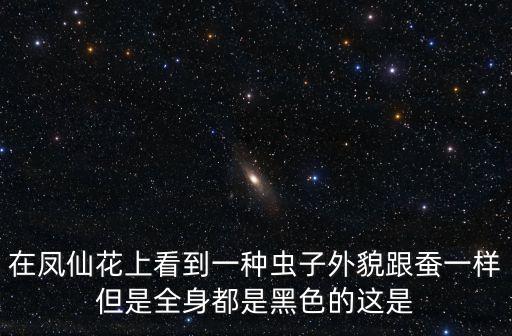 在鳳仙花上看到一種蟲子外貌跟蠶一樣但是全身都是黑色的這是