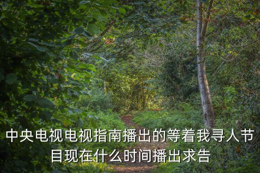 等著我廣州姐姐尋弟，最新消息2016等著我楊金良找到弟弟楊超了嗎