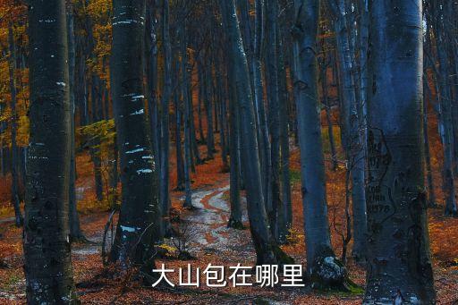 大山包，昭通大山包是哪個(gè)縣