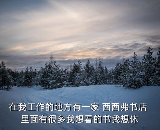 在我工作的地方有一家 西西弗書店 里面有很多我想看的書我想休