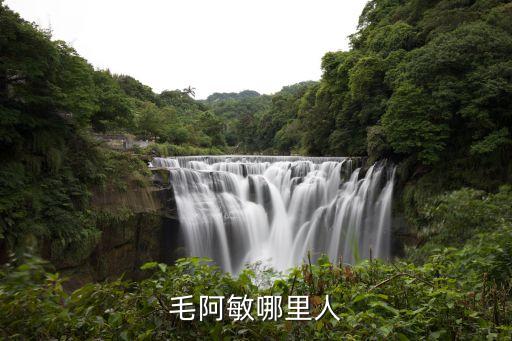 毛阿敏身高，毛阿敏 是 上海人嗎