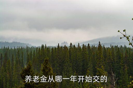 上海市養(yǎng)老金繳納起始時間，上海的養(yǎng)老金是從哪一年開始解繳的