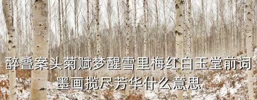 案頭菊，醉疊案頭菊賦夢醒雪里梅紅白玉堂前詞墨畫攬盡芳華什么意思