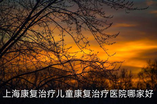 上海康復治療兒童康復治療醫院哪家好