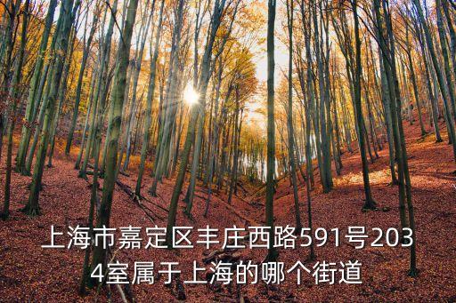 上海市嘉定區(qū)豐莊西路591號(hào)2034室屬于上海的哪個(gè)街道