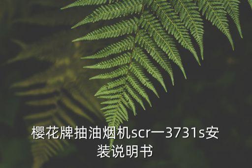 廣州櫻花油煙機(jī)使用說明書，櫻花油煙機(jī)有說明書和合格記嗎