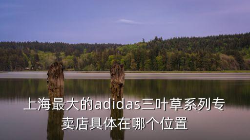 上海市百一店對面樓，上海最大的adidas三葉草系列專賣店具體在哪個位置