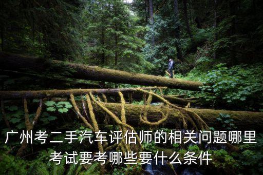 廣州考二手汽車評(píng)估師的相關(guān)問題哪里考試要考哪些要什么條件