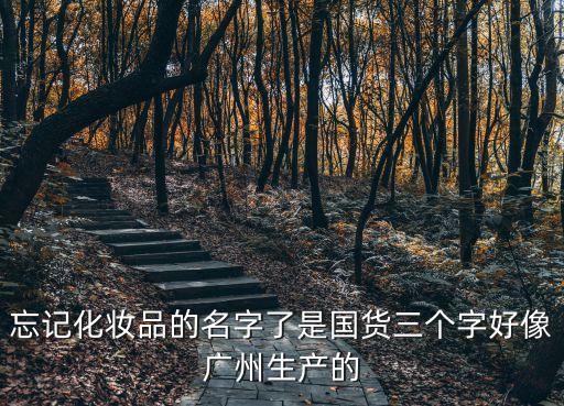 忘記化妝品的名字了是國貨三個字好像廣州生產的