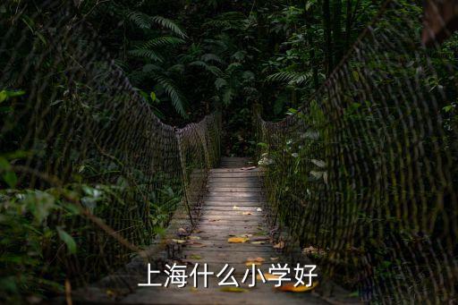 上海市優質小學排名，上海什么小學好