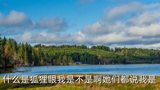 狐貍之眼，什么是狐貍眼我是不是啊她們都說(shuō)我是